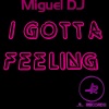 Miguel Dj《I Gotta Feeling (Radio Edit)》[MP3/LRC]