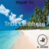 Miguel Dj《Tribe Caribbean (Original Mix)》[MP3/LRC]