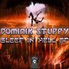 Dominik Stuppy - Sleep In Hell (Original Mix)