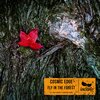 Cosmic Edge - Fly In The Forest (Original Mix)