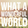 Orchestra Of Sergio Rafael - What A Wonderful World