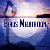 Zen Meditation and Natural White Noise and New Age Deep Massage - Birds Sounds