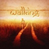 Double Fuse - Walking
