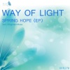 Way Of Light《Crazy Girls (Original Mix)》[MP3/LRC]