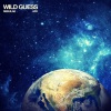 Wild Guess《Nebulae (Original Mix)》[MP3/LRC]