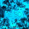 Ludvig、Solomon - Ice Boy (Explicit)