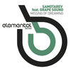 Samotarev、Grape Sound - Missing Of Dreaming