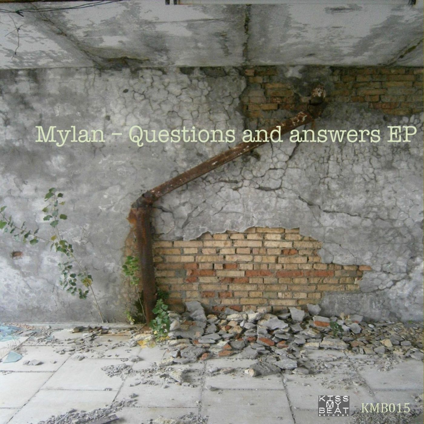 Mylan - Question