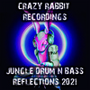Cynical Rude Boy - I Got Your Back (DJ Purple Rabbit remix|Explicit)