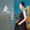 应丽琴 - 走