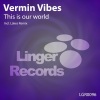 Vermin Vibes - This is our world (Original Mix)