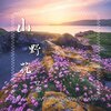 张益翔 - 山野花 (伴奏)