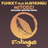 Funkky、Mavhungu《Mitodzi (Main Mix)》[MP3/LRC]