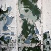 Brych - Frexid