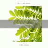 Nature Sound Series - Get High Sleep with Calm Nature Music for Relax pt. 2