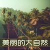 森林歌曲 - 美丽的大自然