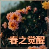 KANJIAN疗愈_静心助眠 - Delta波