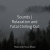 Best Relaxing Spa Music、The Sleep Helpers、Echoes Of Nature - Love Unbreakable