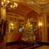 Always Christmas、Christmas Vibes、Holly Christmas - O Come, O Come, Emmanuel