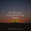 Meditation Music Experience、Deep Sleep Meditation、Chillout Lounge - Gracious