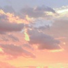 凉辰梦瑾空人心 - 九万字