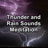 Nature Recordings、Nature Spirit、Sounds of Nature White Noise Sound Effects - Quiet Rain with Nature Music in the Evening