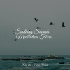 Guided Meditation Music Zone、Baby Relax Music Collection、Sleeping Music - Beachy Breezes