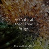 Música de la Naturaleza、Sleep Music、Musica para Massagem Especialistas《Origins of Dreams》[MP3/LRC]