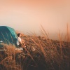 Organic Nature Sounds、Nature Sound Series、calm shores - Ambient Wind