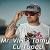 Mr Vik、Tamy - Cu Tupeu