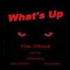 Tim Stelma、Shannon J、Dean Dipierro、Paul Dehem - What's Up (feat. Shannon J Dean Dipierro & Paul Dehem)