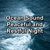 Yoga Master、Yoga Shala、Yoga & Meditation《Ocean Waves Sounds With White Noise For Taking a Nap》[MP3/LRC]