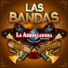 La Arrolladora Banda el Limón de Rene Camacho - Entre Beso Y Beso