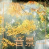 冥想 - 追梦者