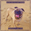 Treedogg Mr. ATM - How Yah Do Dat There (Explicit)