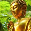 Buddha's Flute - Calming Flute