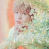 小太阳软糖 - Hello Future