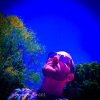 Casey Jones - Only Lonely