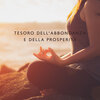 Musica Relax Academia - Meditazione Positiva
