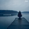 DJ Zavala、Mintall - Carol Of The Bells
