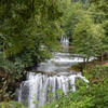 The Relaxing Sounds of Swedish Nature - Birds Near the Stream