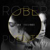 Rober Puentes - Funk Feelings