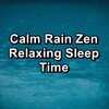 Sounds of Nature White Noise Sound Effects、Nature Recordings、Nature Spirit - Quiet Rain Storm To Help You Sleep