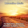 Relaxing Music by Dominik Agnello、Relaxing Spa Music、Yoga - Gorgeous Relaxing Music