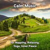 Relaxing Music by Terry Woodbead、Relaxing Spa Music、Yoga - Calm Music Part 1