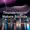 Nature Spirit、Sounds of Nature White Noise Sound Effects、Nature Recordings - Forest Rain For Quiet Nights To Relax and Loop for 8 Hours