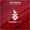 Skyknock - Autumn Rain