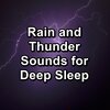 Nature Spirit、Sounds of Nature White Noise Sound Effects、Nature Recordings - Gutter Rain Anti Stress Loopable for 20 Hours