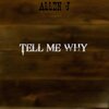 Allen J - Tell Me Why