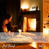 Cat Music Experience、Binaural Boy、Meditation King - Rain Fire Noise